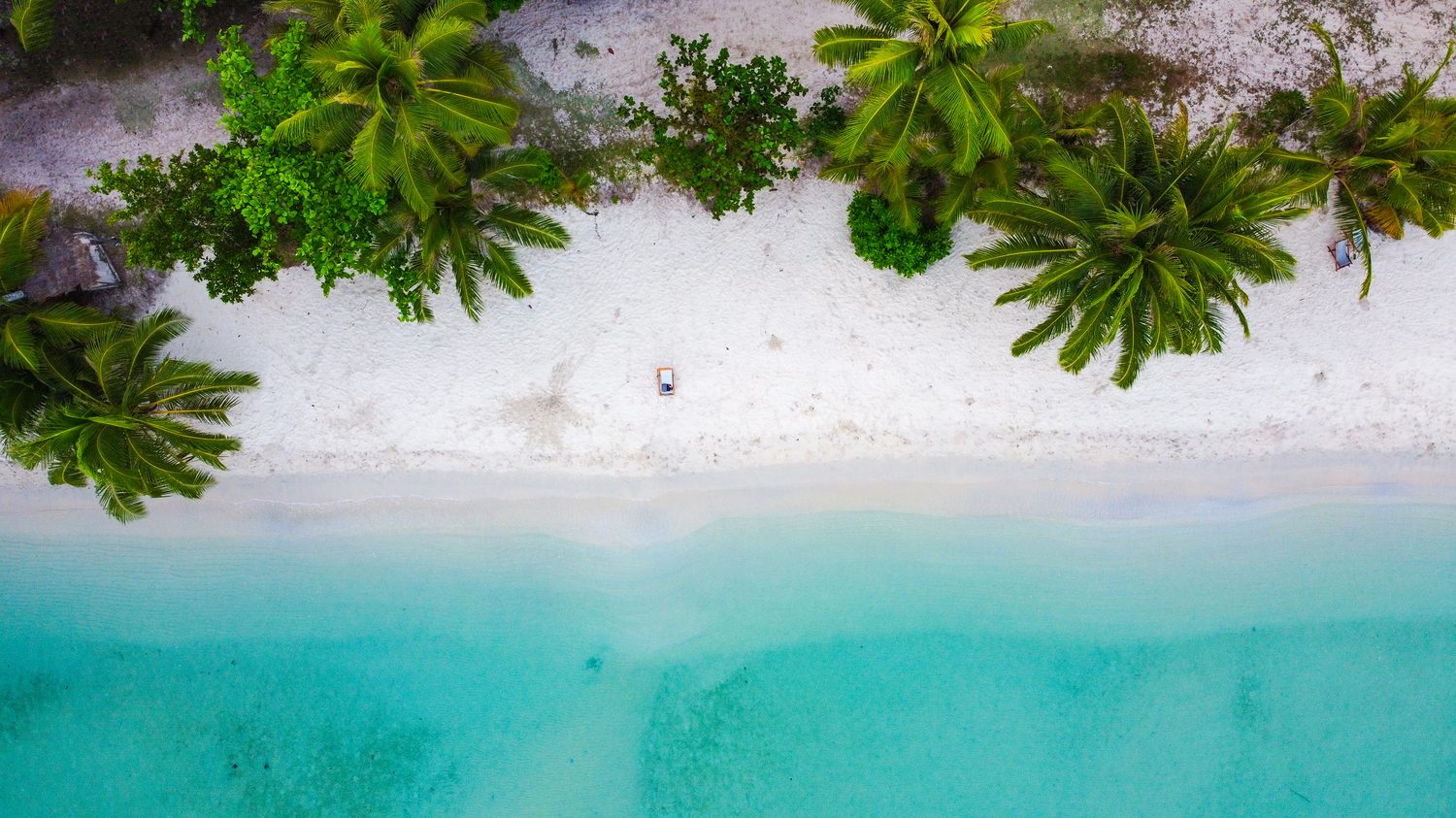 Aerial view of the turquoise Caribbean coastline near Playa del Carmen