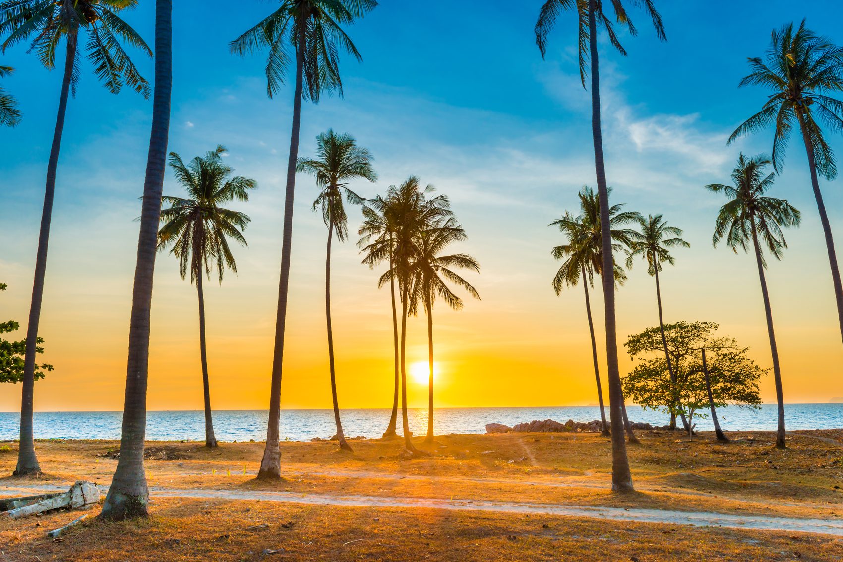 Palm trees and beach in Playa del Carmen at golden hour