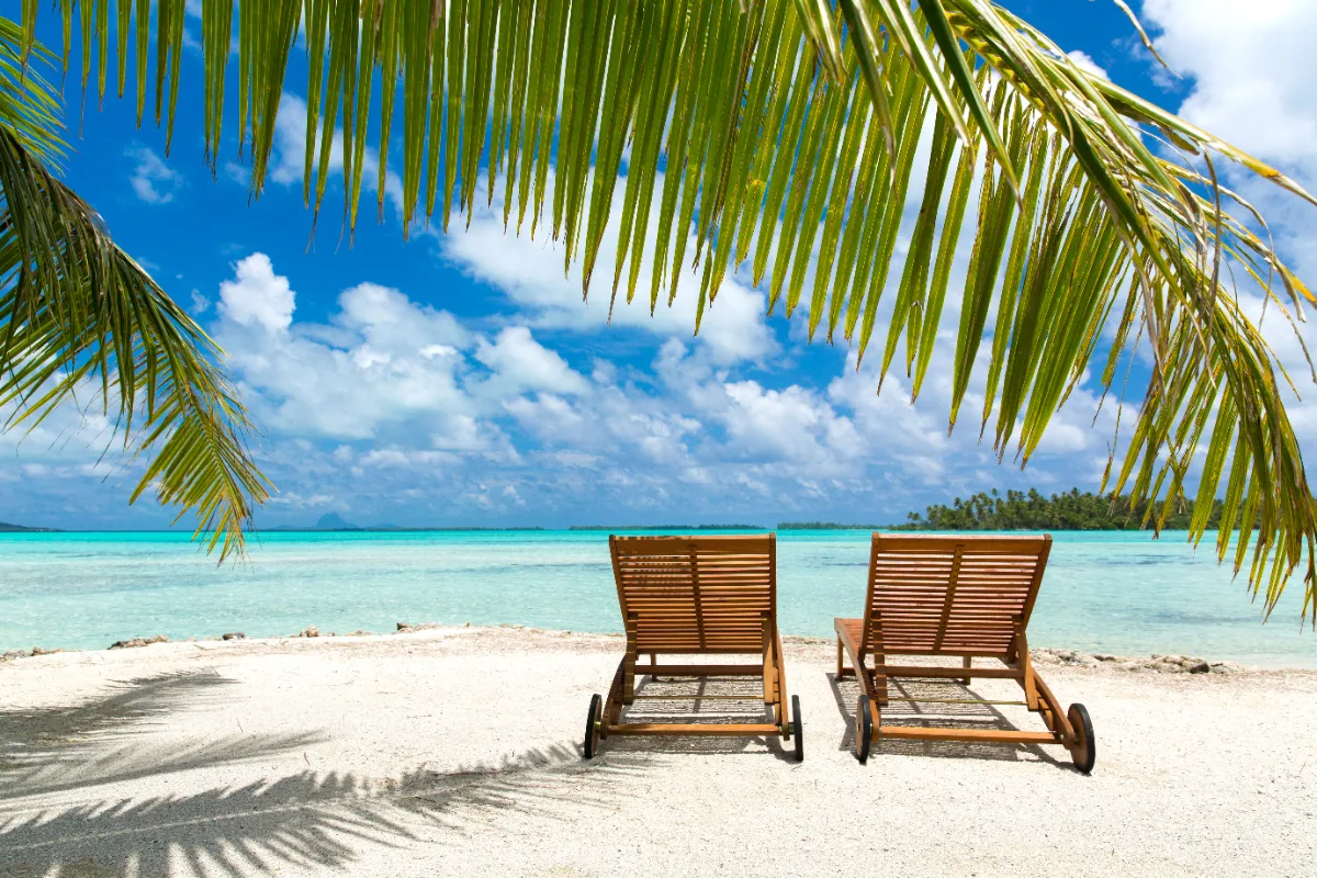 Quiet resort beach with palm tree and sun loungers in Playacar