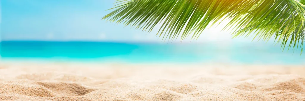 Turquoise Caribbean beach with palm trees in Playacar Playa del Carmen