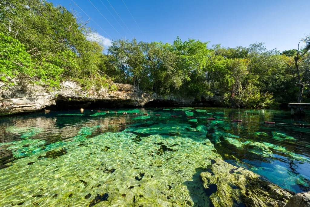 Cenote Azul, one of the best cenotes near Playa del Carmen, with clear turquoise water