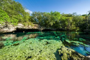 Cenote Azul, one of the best cenotes near Playa del Carmen, with clear turquoise water