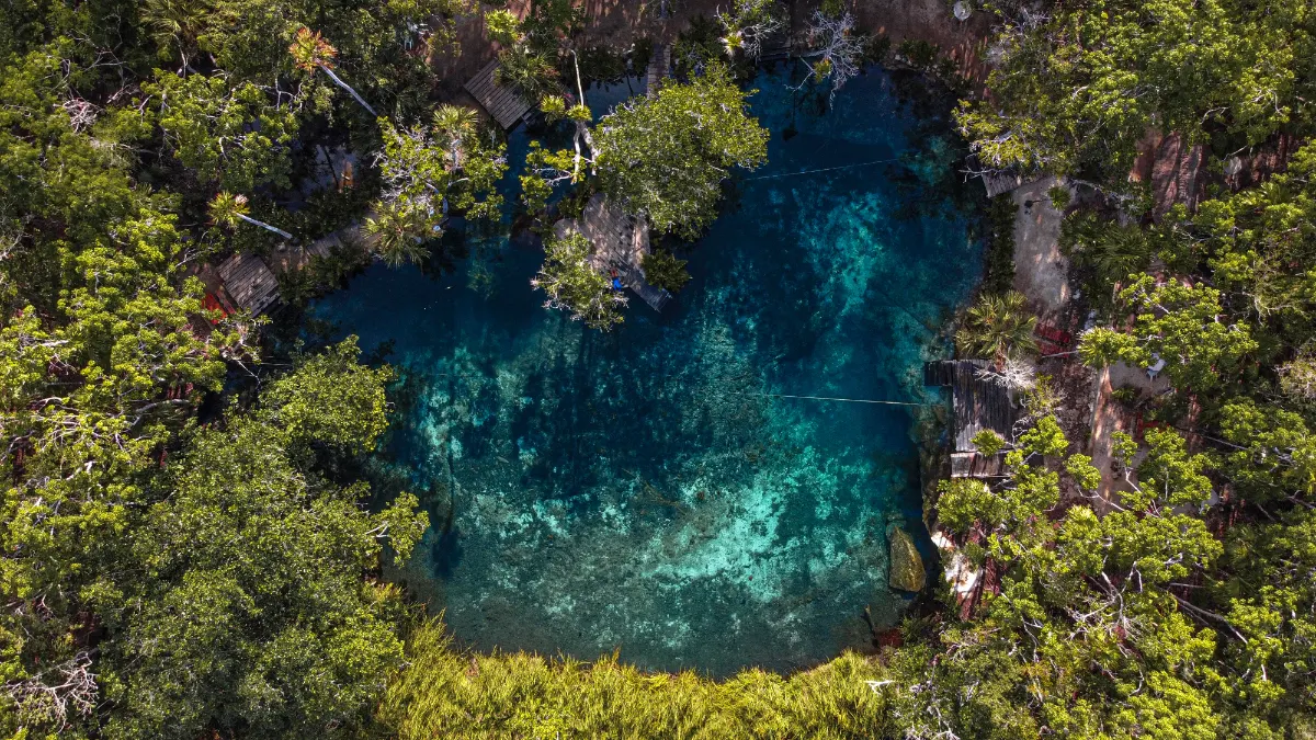 Swimming in a turquoise cenote near Playa del Carmen surrounded by jungle