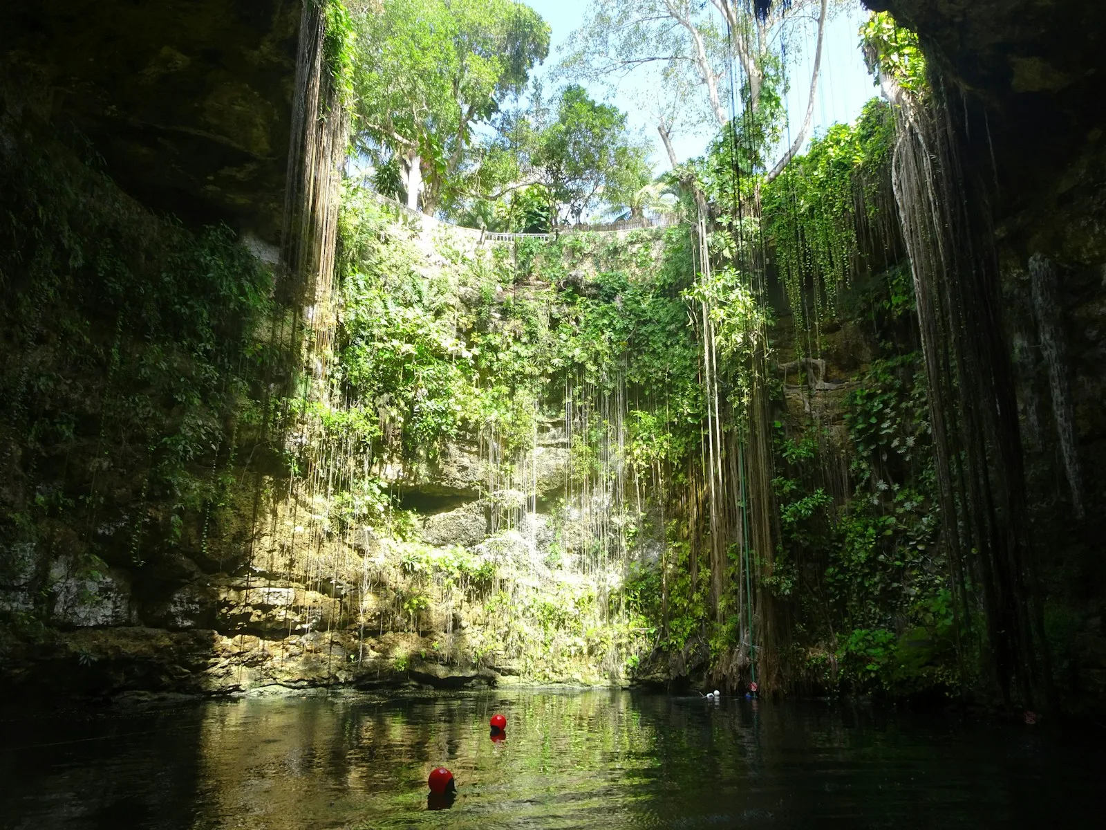 Jungle-ringed cenote near Playa del Carmen with clear blue water for swimming