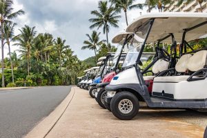 Golf cart rental Playa del Carmen - white electric carts lined up on a palm-lined tropical street